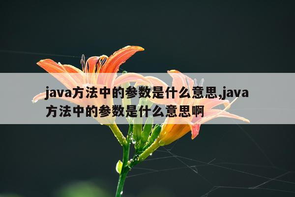 java方法中的参数是什么意思,java方法中的参数是什么意思啊