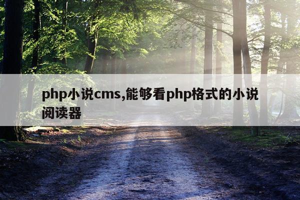 php小说cms,能够看php格式的小说阅读器