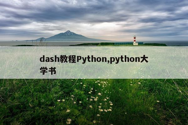 dash教程Python,python大学书