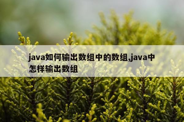 java如何输出数组中的数组,java中怎样输出数组