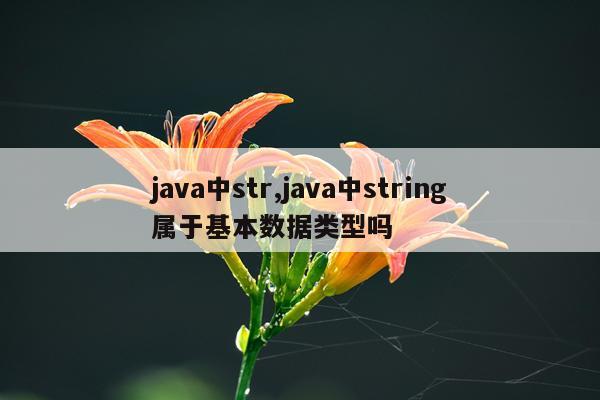 java中str,java中string属于基本数据类型吗