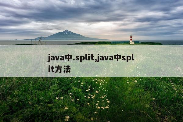 java中.split,java中split方法