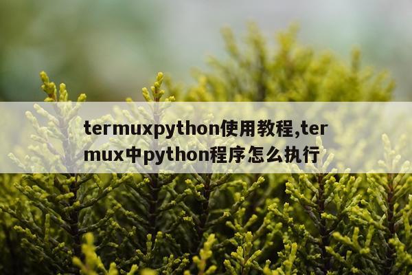 termuxpython使用教程,termux中python程序怎么执行
