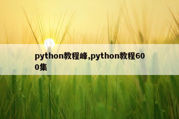 python教程峰,python教程600集