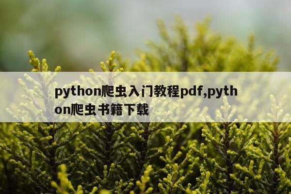 python爬虫入门教程pdf,python爬虫书籍下载