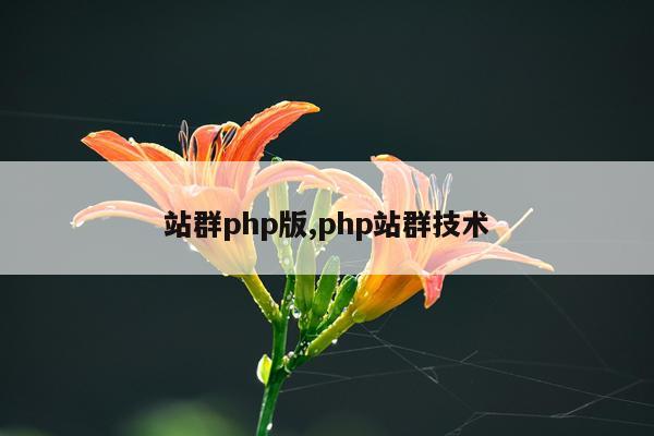 站群php版,php站群技术