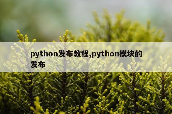 python发布教程,python模块的发布
