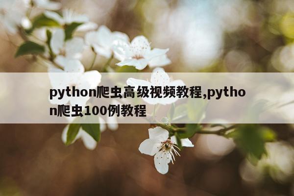 python爬虫高级视频教程,python爬虫100例教程