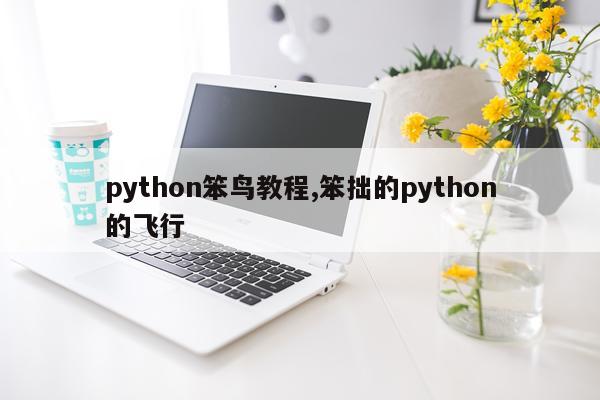 python笨鸟教程,笨拙的python的飞行