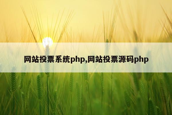 网站投票系统php,网站投票源码php