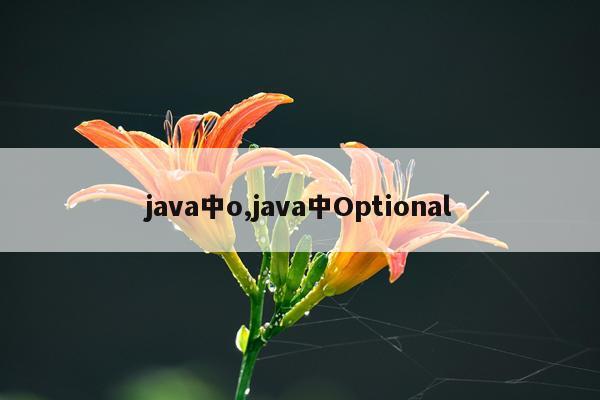 java中o,java中Optional