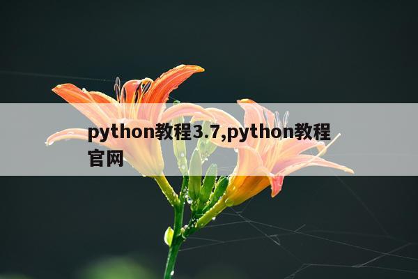 python教程3.7,python教程官网