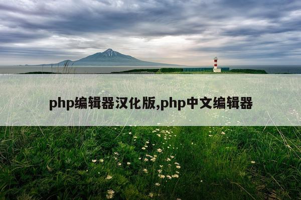 php编辑器汉化版,php中文编辑器