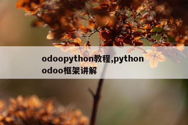 odoopython教程,python odoo框架讲解