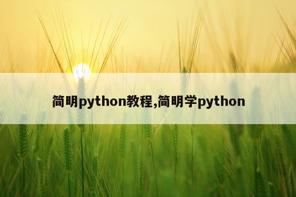 简明python教程,简明学python