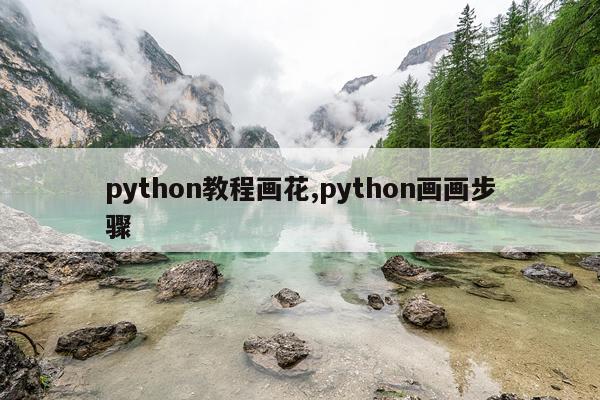 python教程画花,python画画步骤