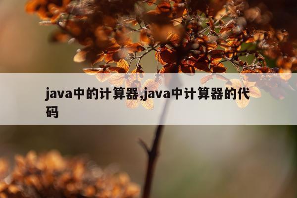 java中的计算器,java中计算器的代码