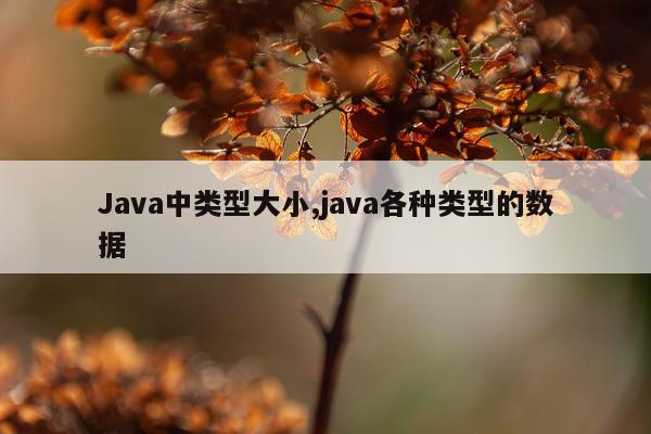 Java中类型大小,java各种类型的数据
