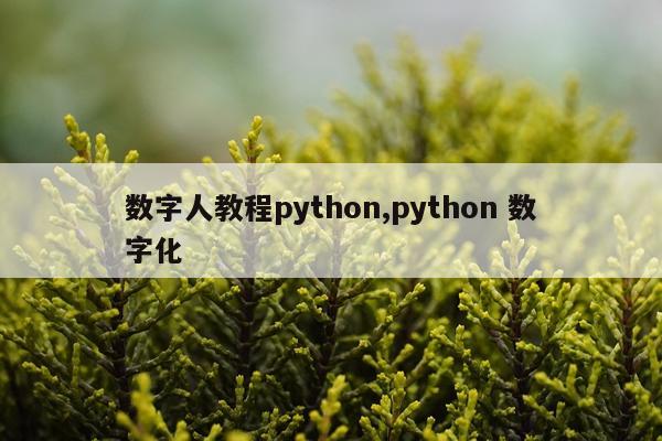 数字人教程python,python 数字化