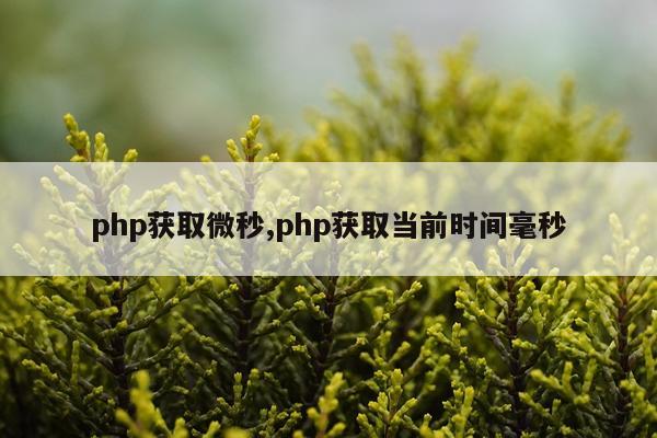 php获取微秒,php获取当前时间毫秒