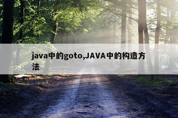 java中的goto,JAVA中的构造方法