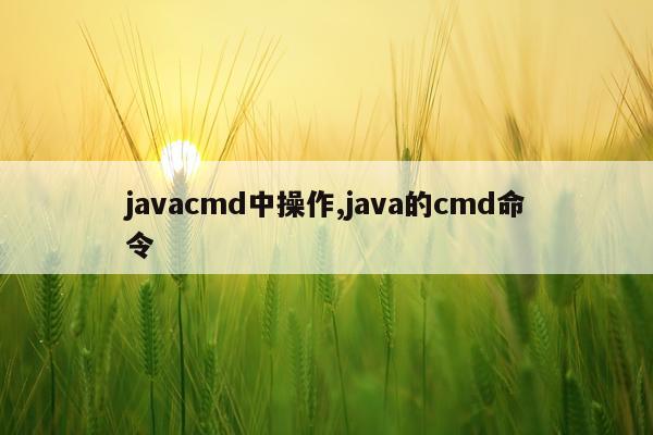 javacmd中操作,java的cmd命令