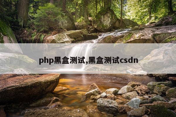 php黑盒测试,黑盒测试csdn