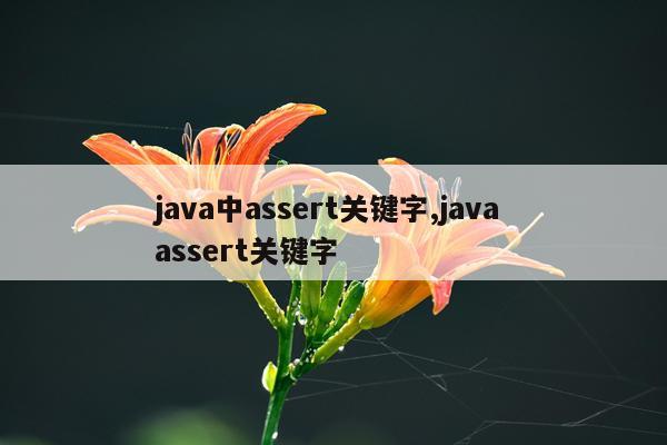 java中assert关键字,java assert关键字