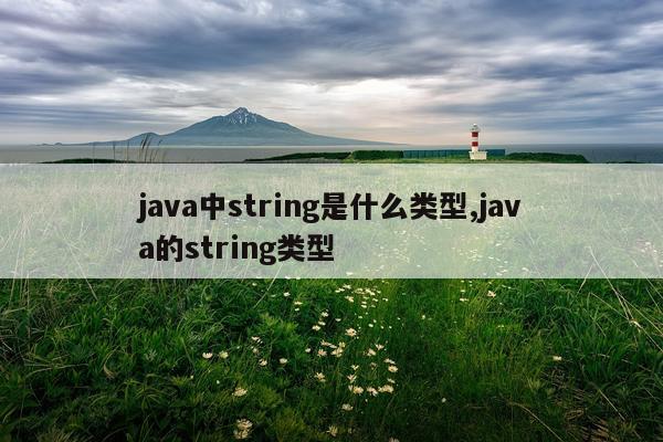 java中string是什么类型,java的string类型