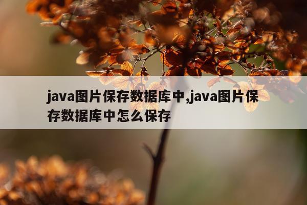 java图片保存数据库中,java图片保存数据库中怎么保存