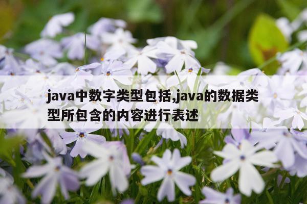 java中数字类型包括,java的数据类型所包含的内容进行表述