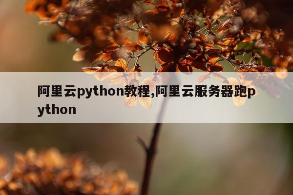 阿里云python教程,阿里云服务器跑python