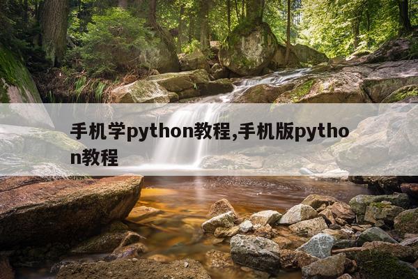 手机学python教程,手机版python教程