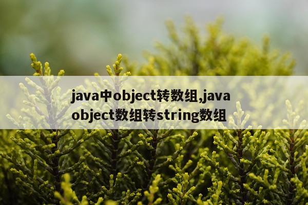 java中object转数组,java object数组转string数组