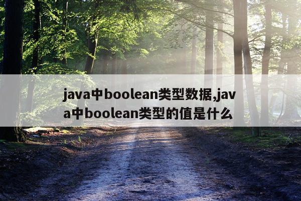 java中boolean类型数据,java中boolean类型的值是什么