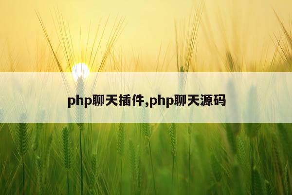 php聊天插件,php聊天源码