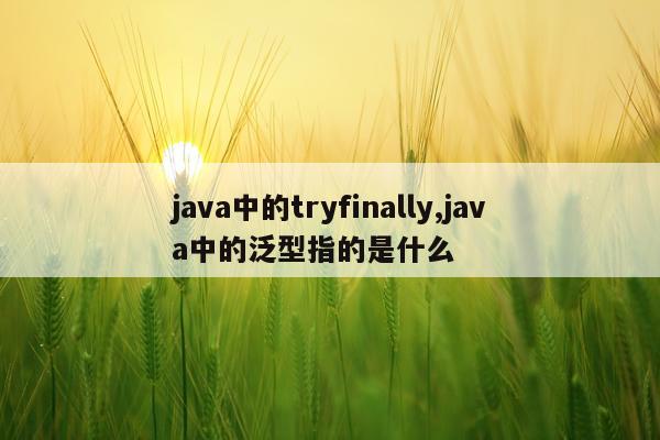 java中的tryfinally,java中的泛型指的是什么