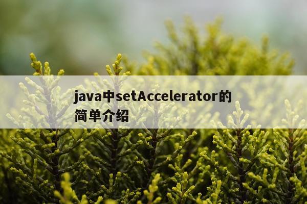 java中setAccelerator的简单介绍