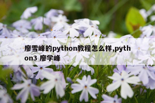 廖雪峰的python教程怎么样,python3 廖学峰