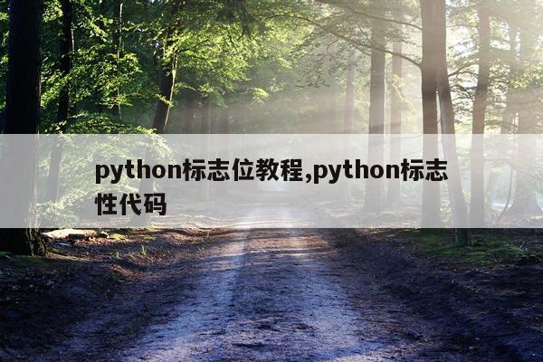python标志位教程,python标志性代码