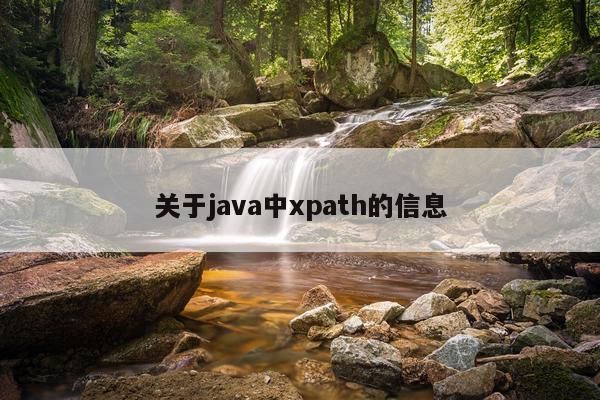 关于java中xpath的信息