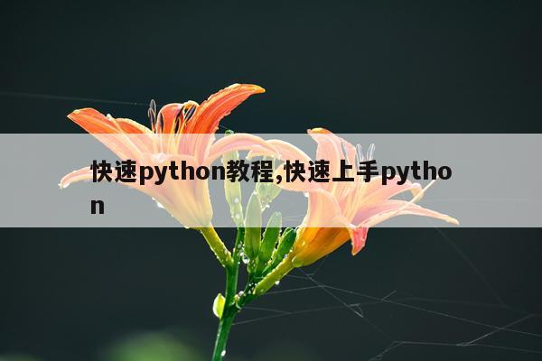 快速python教程,快速上手python