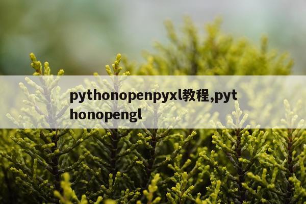 pythonopenpyxl教程,pythonopengl