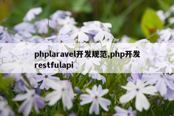 phplaravel开发规范,php开发restfulapi