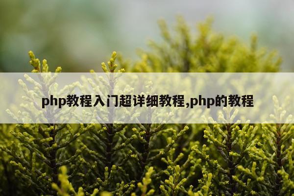 php教程入门超详细教程,php的教程