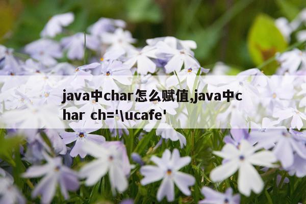 java中char怎么赋值,java中char ch='\ucafe'