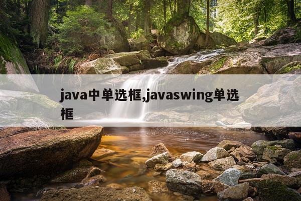 java中单选框,javaswing单选框