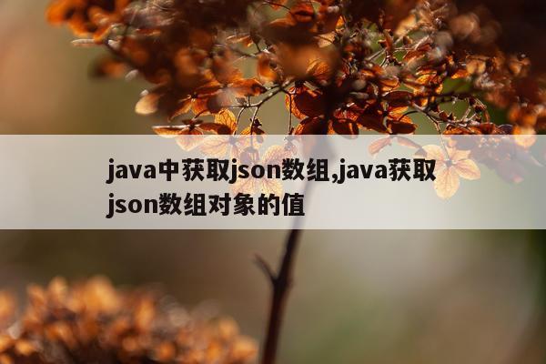 java中获取json数组,java获取json数组对象的值