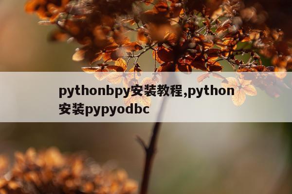 pythonbpy安装教程,python安装pypyodbc