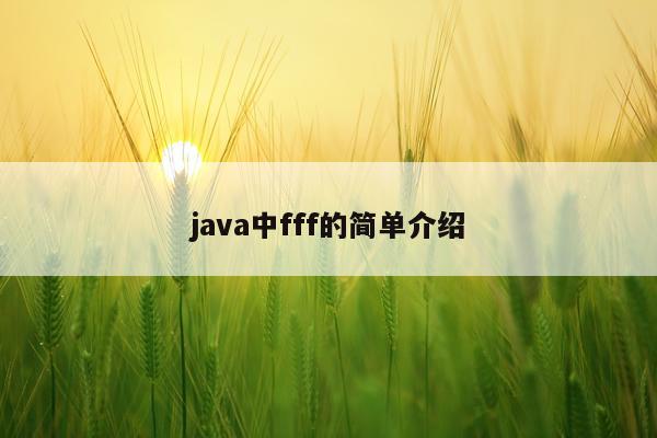 java中fff的简单介绍